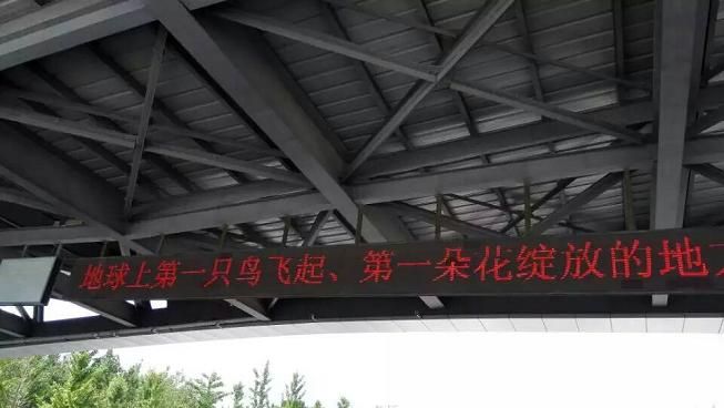 世界上第一朵花綻放的地方，第一只鳥飛起的地方